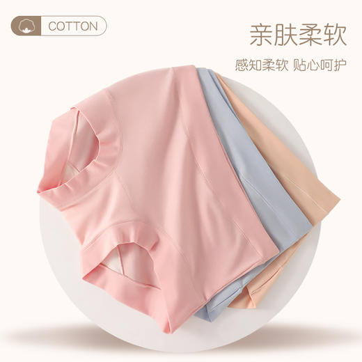 【黄金比例，60支长绒棉】【钜惠四条装】新疆长绒棉内裤女士纯棉桑蚕丝裆透气中腰包臀无痕女士三角裤 商品图5