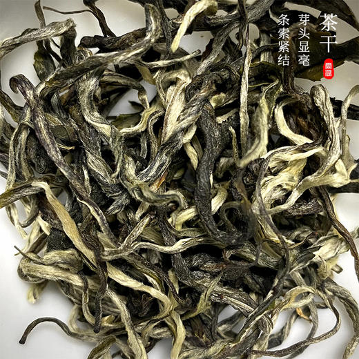 霏鸿茶叶 头春头采一芽一叶绿茶 云南滇绿生态高山绿茶玉 商品图1
