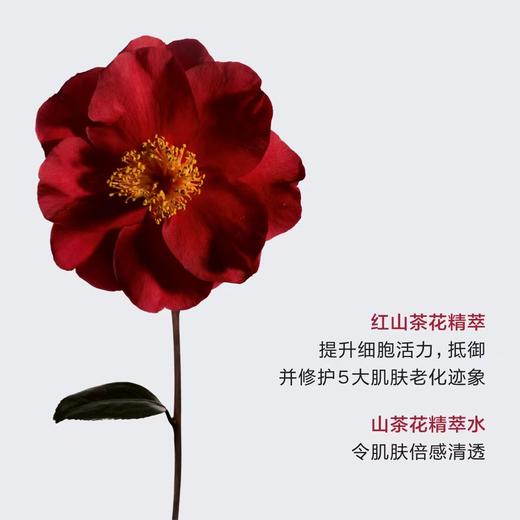 CHANEL香奈儿N1红山茶花爽肤水150ml 商品图3