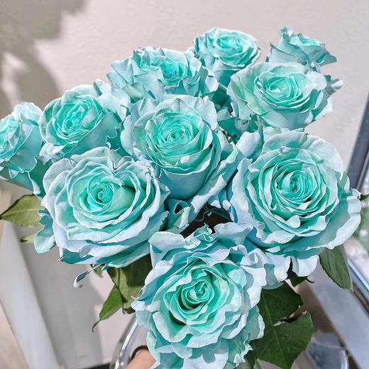 厄瓜多尔染色Tifanny Aqua Blue蒂芙尼蓝玫瑰花10支 商品图0
