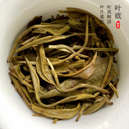 霏鸿茶叶 头春头采绿茶 云南滇绿生态高山绿茶一芽两叶 商品图5