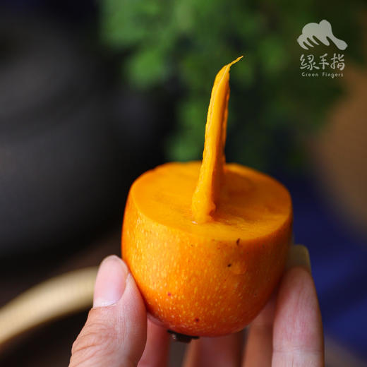 生态曼来芒果 | 合作生产 *Eco- mango | Coproduction 商品图4