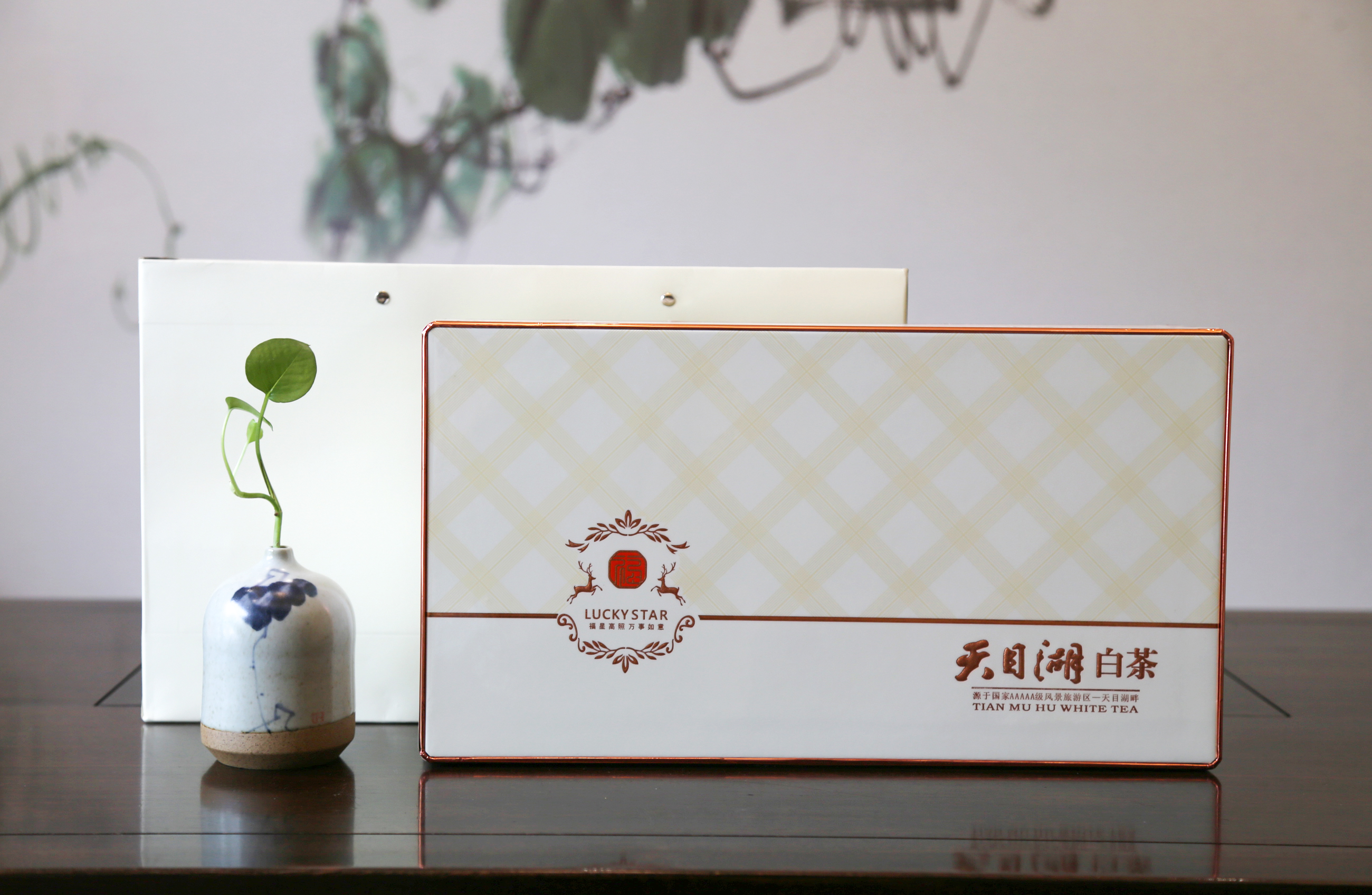 六雨早春明前特级天目湖白茶礼盒200g品质好茶送礼佳品