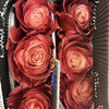厄瓜多尔-【Dusty Rose】灰蔷薇 商品缩略图1