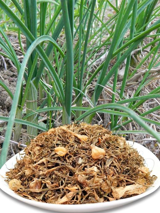 野胡葱干500克 商品图0