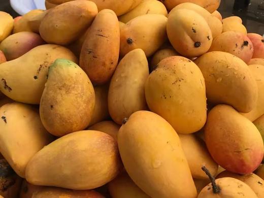 懒芒果干  | 无任何添加剂、只有芒果的芒果干 | 来自云南元江县眷村，产地直发【6月5日开始发货】 商品图4