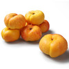 黄金油蟠桃 商品缩略图0
