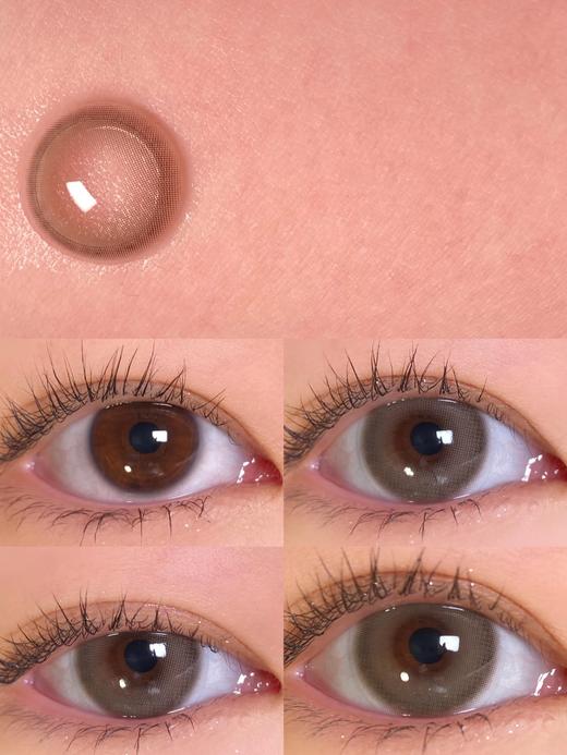 Bebebest品牌日抛线-Lacee Gray（10p/盒）//有同名年抛款 商品图4