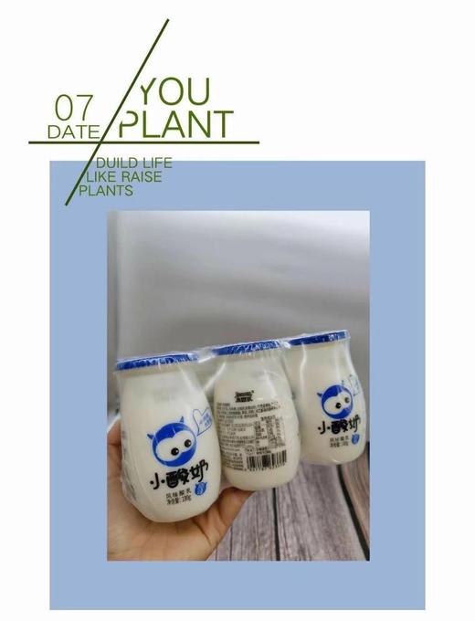 来思尔 小酸奶 商品图0