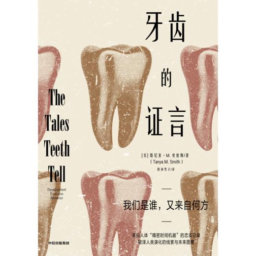 【官微推荐】牙齿的证言 塔尼亚·M.史密斯 商品图2