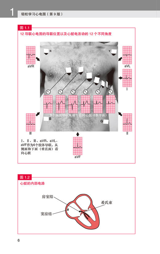 轻松学习心电图 第9九版 张文娟 郭继鸿译 新版第八版升级临床医学心电图医学参考书影像学 北京大学医学出版社9787565926235 商品图4