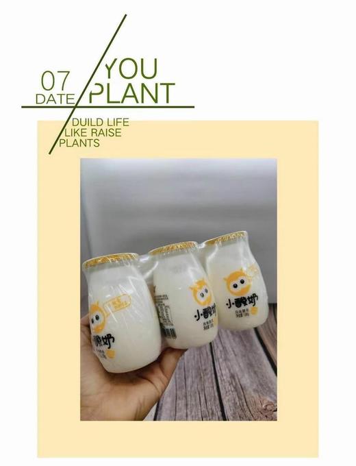 来思尔 小酸奶 商品图3