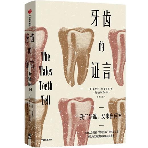 【官微推荐】牙齿的证言 塔尼亚·M.史密斯 商品图0