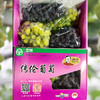 传伦葡萄 6斤礼盒装 马陆精品葡萄 商品缩略图0