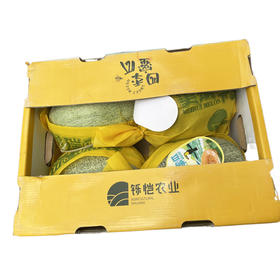 密瓜 件装   （4头装）香甜细腻/干脆爽口