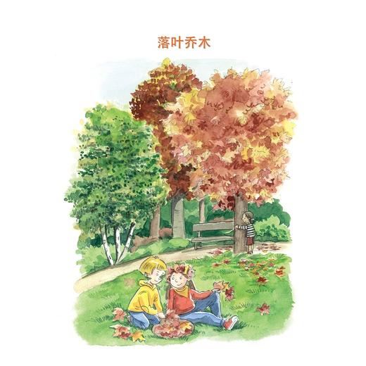 森林大发现/自然大发现系列/(奥)莱奥诺蕾·盖塞尔布莱希特-塔费尔纳/浙江大学出版社 商品图4