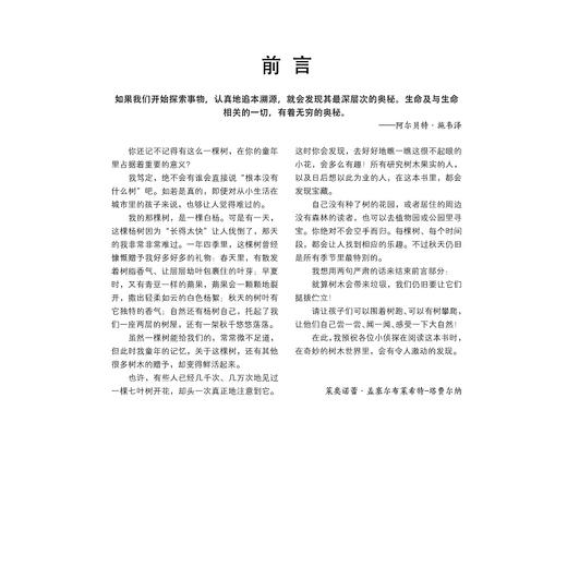森林大发现/自然大发现系列/(奥)莱奥诺蕾·盖塞尔布莱希特-塔费尔纳/浙江大学出版社 商品图2