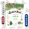 森林大发现/自然大发现系列/(奥)莱奥诺蕾·盖塞尔布莱希特-塔费尔纳/浙江大学出版社 商品缩略图0