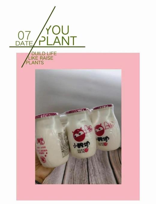 来思尔 小酸奶 商品图1