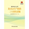 国华电力公司防止电力生产事故的二十五项重点措施 商品缩略图2