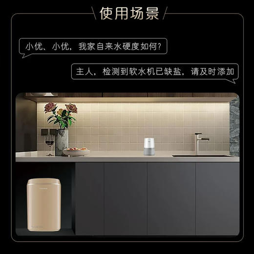 卡萨帝（Casarte）软水机CS10-SPA（金）U1 商品图4