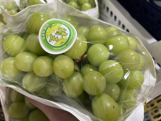 预售晴王阳光玫瑰葡萄大颗粒香甜多汁肉质硬脆带有淡淡玫瑰香味335斤