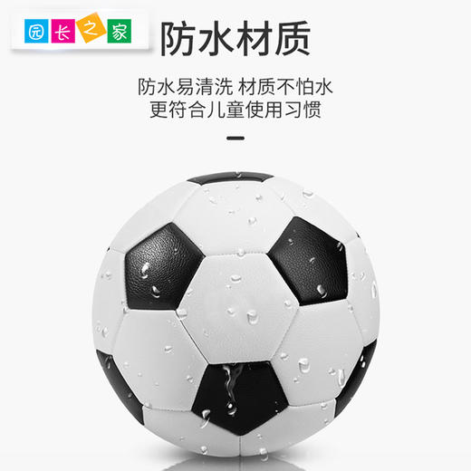 感统-3号足球 商品图3
