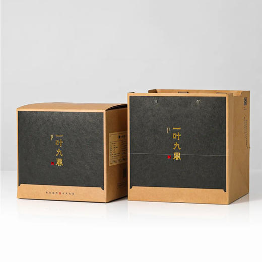 福鼎白茶丨2024年一叶九鼎竹韵牡丹·一级白牡丹 500g 商品图8