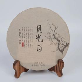 月光白2021年特惠云南大叶白茶普洱茶