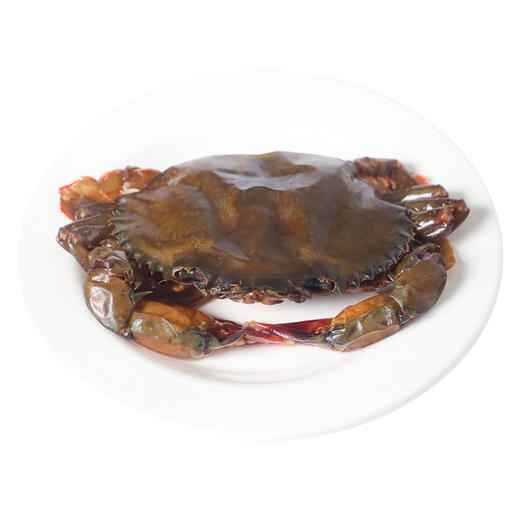 缅甸软壳蟹原装进口青蟹1000g/盒冷冻螃蟹梭子蟹顺丰包邮 商品图1