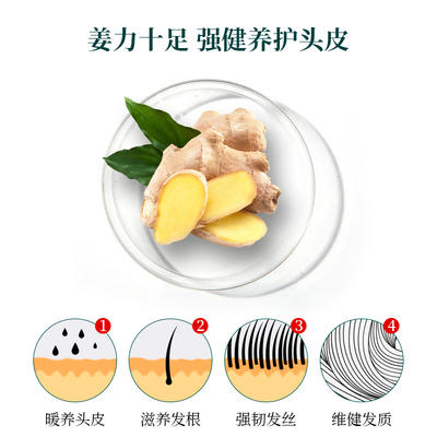 【35元会员福利】澳雪小黄姜洗发水300ml（丰盈蓬松/乌黑韧发/头皮舒缓/控油去屑） 商品图1