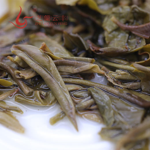 2022 芝兰手握 普洱茶 生茶 商品图3