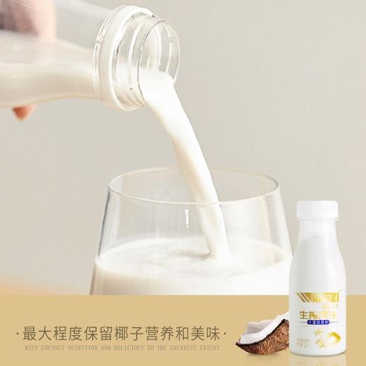 旺仔椰汁245ml*10瓶 饮料整箱 生榨 椰奶 椰子 水果汁 网红饮品 进口椰子 生榨鲜椰汁 包邮 商品图3