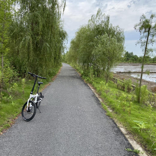 高性价比逃生自行车：畅销15年旗舰款，狼途14寸20寸折叠便携自行车 商品图5