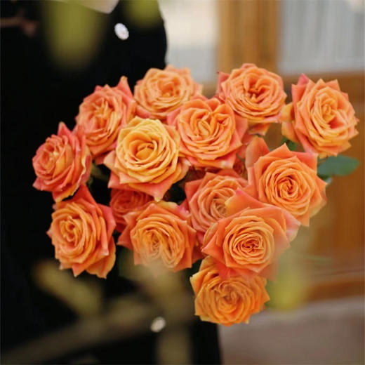 国产单头玫瑰欢乐颂10支 商品图2