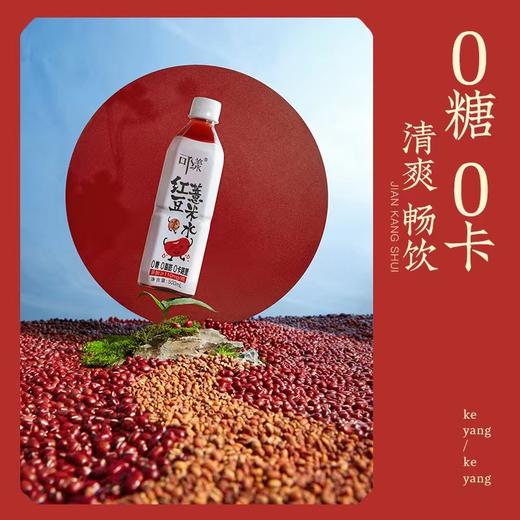 可漾红豆薏米水500ml 商品图1