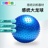 感统-大龙球 瑜伽球 商品缩略图0
