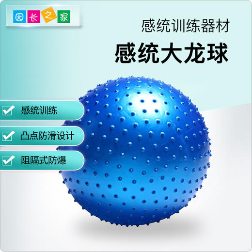 感统-大龙球 瑜伽球 商品图0