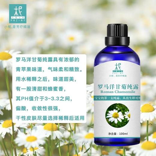 【预售】罗马洋甘菊/小白菊纯露 2025当季新露 海外进口新鲜纯露 原产地直供 修复 商品图3