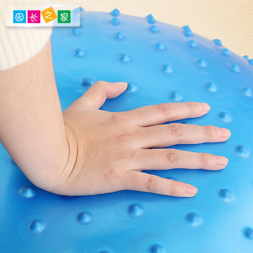 感统-大龙球 瑜伽球 商品图2