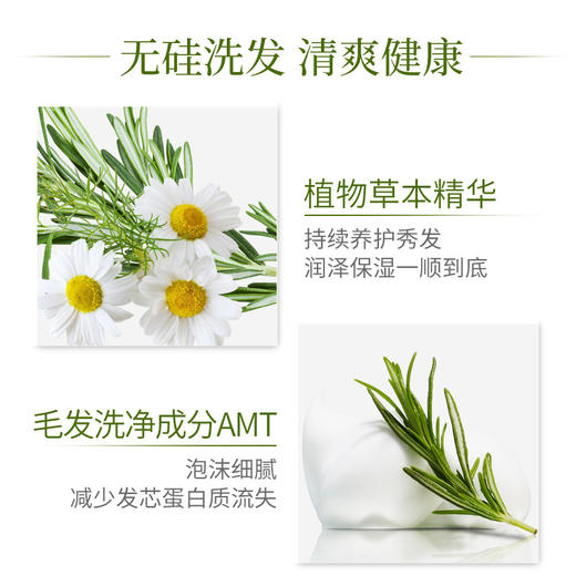 惠润 SUPER MiLD绿野鲜花洗发水600ML 商品图3