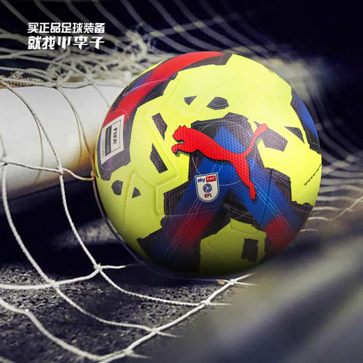 PUMA/彪马 PUMA Orbita 1 EFL SKY BET (FIFA Quality Pro)A标比赛足球08388802 商品图0