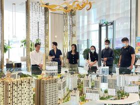 NGTC国检教育领导一行莅临黄金小镇交流 