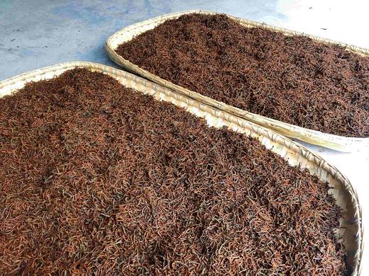 新茶|2025年 商品图10