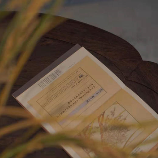 灵芝高低圆茶几 商品图3