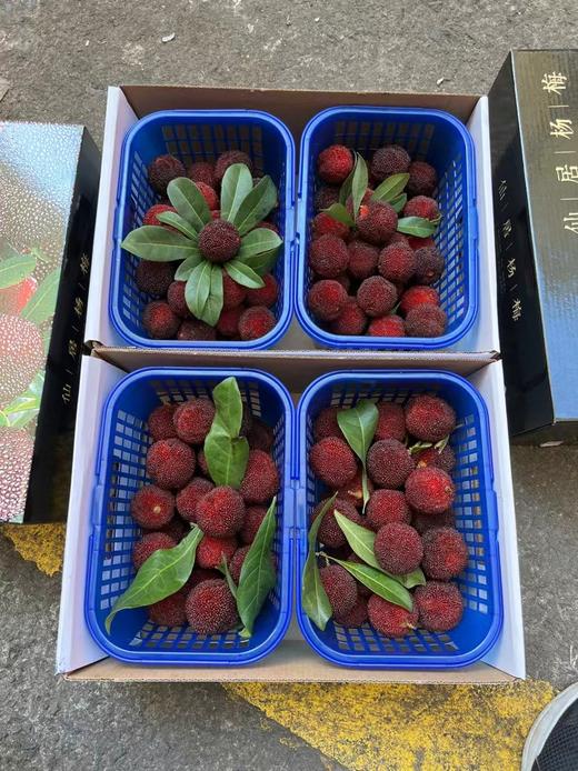 仙居东魁杨梅一箱两篮约4斤