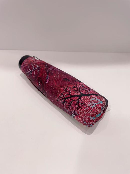 3楼SHOWMEISHI太阳伞（新百购） 商品图0