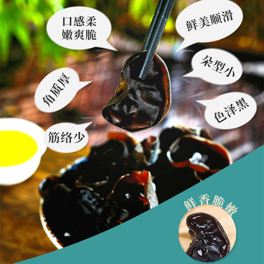邵阳红 神骏有机木耳500克 天然黑木耳 商品图1