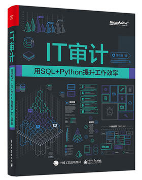 IT审计：用SQL+Python提升工作效率