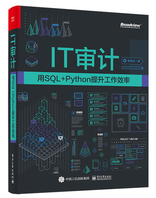 IT审计：用SQL+Python提升工作效率 商品图0